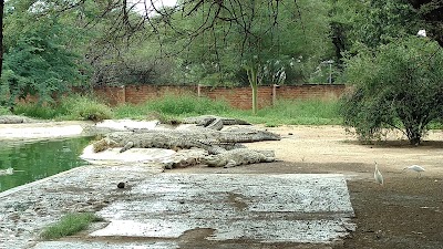 Photos of Evergreen Guesthouse