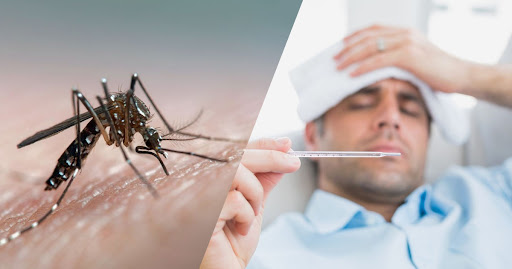Best Dengue Treatment in Jhalawar post image