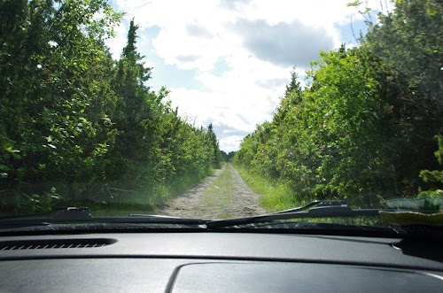 Võiküla munakivitee