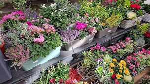 Photo n°38 de GAMM VERT à Angerville-la-Martel (Pépinière)