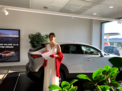 Centro Assistenza Autorizzato Toyota Audiello & Varallo - Thumbnail
