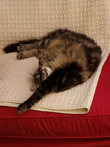Boothbay Animal Hospital - Thumbnail
