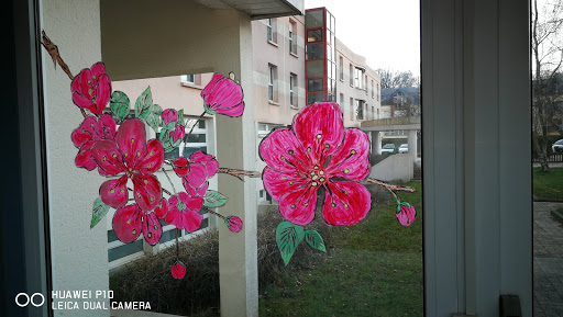 Photo de Les Iliades Gestion SAS à Mont-Saint-Aignan (76130)