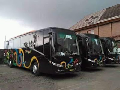 Photos of Vicky Tours & Travel