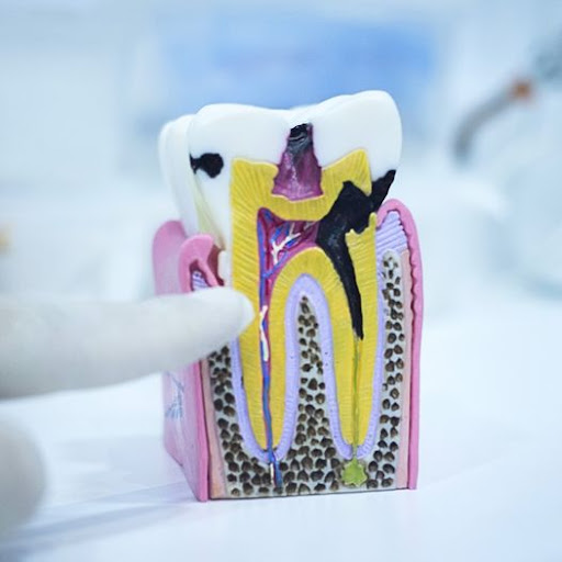 Lakeshore Family and Cosmetic Dentistry P.C. - Thumbnail