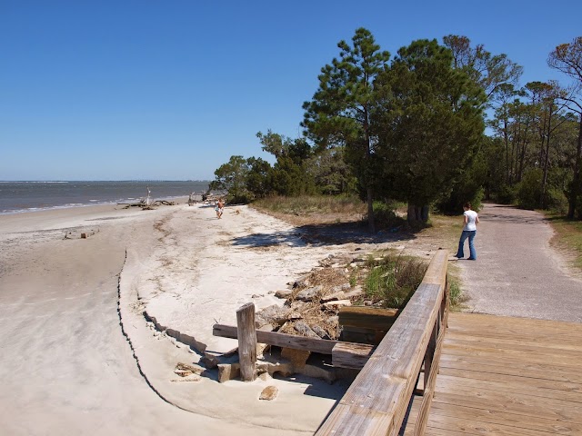 Driftwood Beach