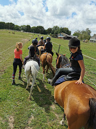 Photo n°24 de Domaine de Kerolivier - Club FFE à Plogonnec (Pension pour chevaux)