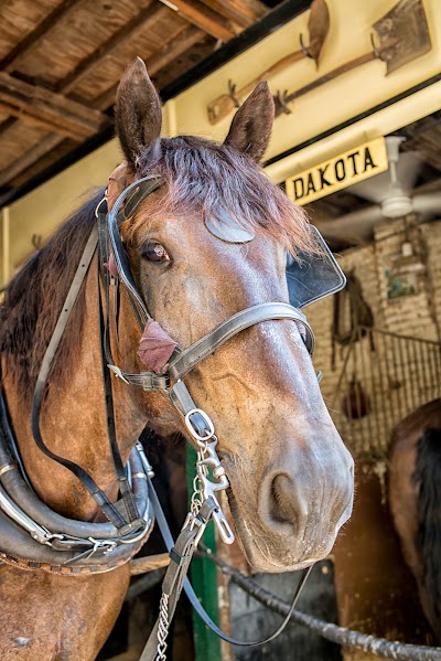 Photos of Classic Carriage Works, LLC