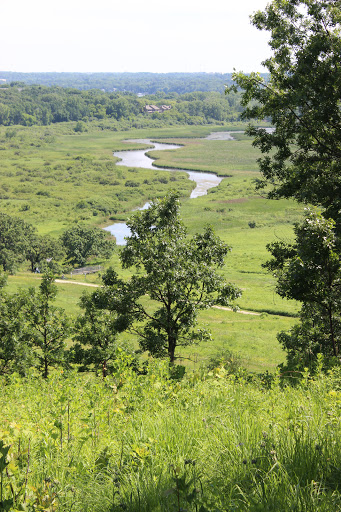 Pheasant Branch Conservancy