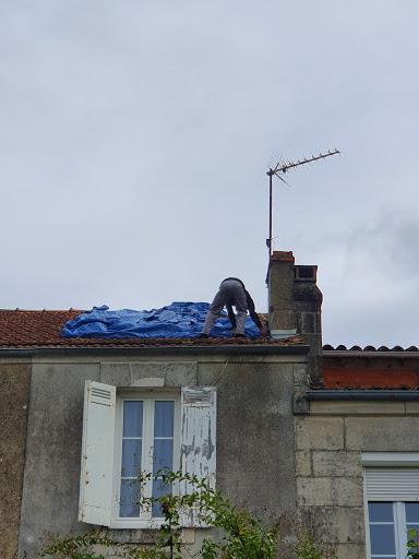 Photo de Riva Olivier à Saintes (17100)