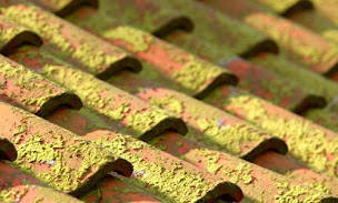 Photo n°7 de Aunis Peinture à Rochefort (Tapissier décorateur)