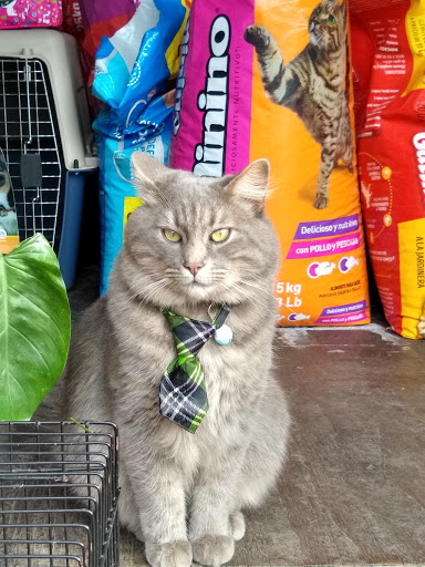 Medican, Clinica Veterinaria