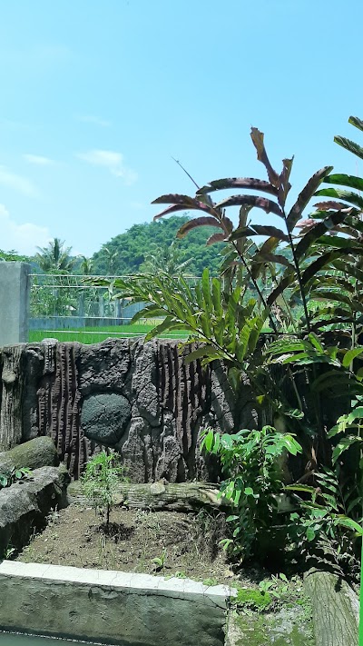 Photos of Pengobatan Alternatif Al Huda, Haji Al Gozali, Cibeber Cianjur