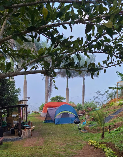 Camping Silvestre Gallery - United States