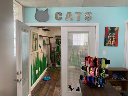 Jolly Mutt Pet Grooming Salon Gallery - United States