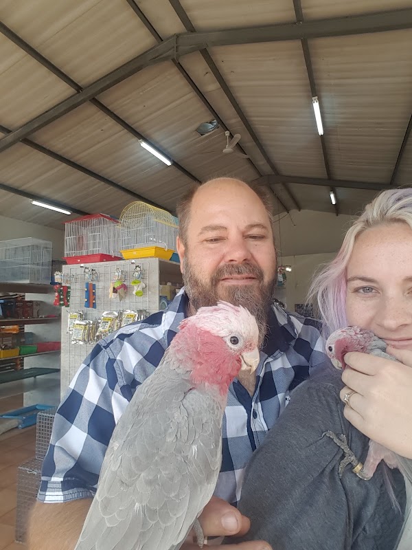 Furever pet shop, Pretoria — address, phone, opening hours, reviews