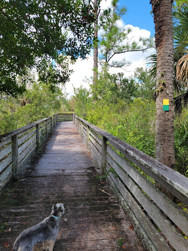CREW Wildlife and Environmental Area - Thumbnail
