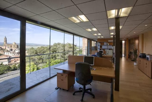 Consultoría Informatica de la Empresa S.C.P. Lleida Almenar