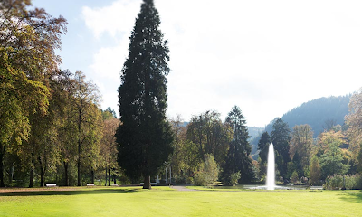 Photos of Internationale Hochschule Liebenzell