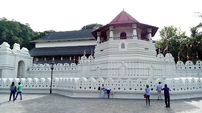 Photos of Weligama Surf Tours
