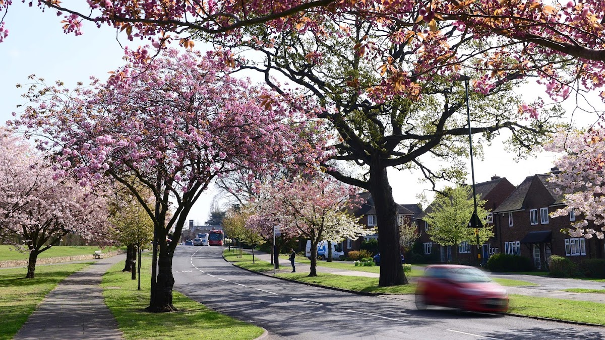 Bournville Village Trust