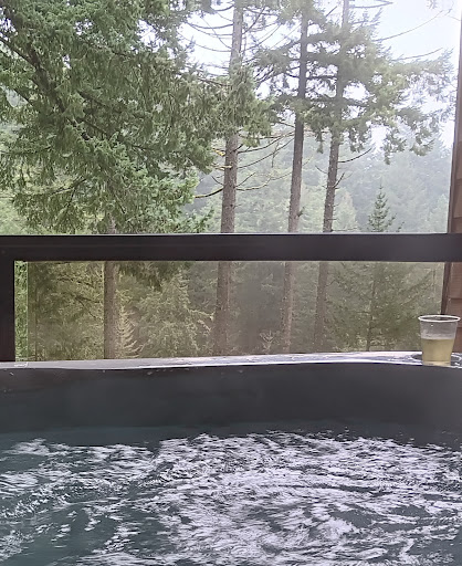Carson Hot Spring LLC - Visual