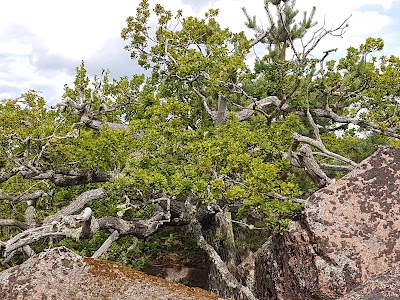 photo of Blå Jungfrun National Park