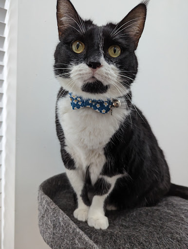 Humber Pets - Visual