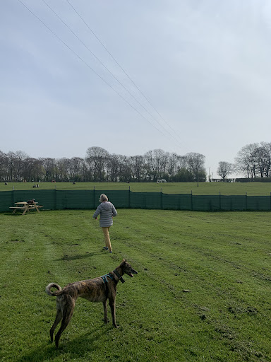 Pockthorpe Dog Park