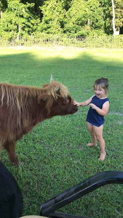 Work Horse Farm Rescue And Exotics