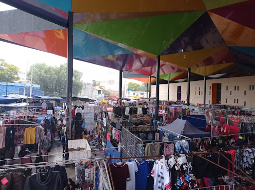 Tianguis del Tepe Gallery - Mexico