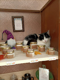 Photo n°3 de Histoire de Senteurs à Lusse (Magasin de bougies)