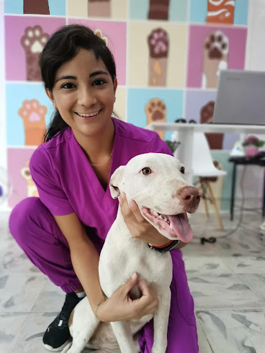 ANAVET Clínica Veterinaria