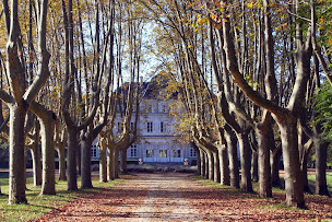 Photo n°7 de Tout L'immobilier à Coeur de Causse (Agence immobilière)
