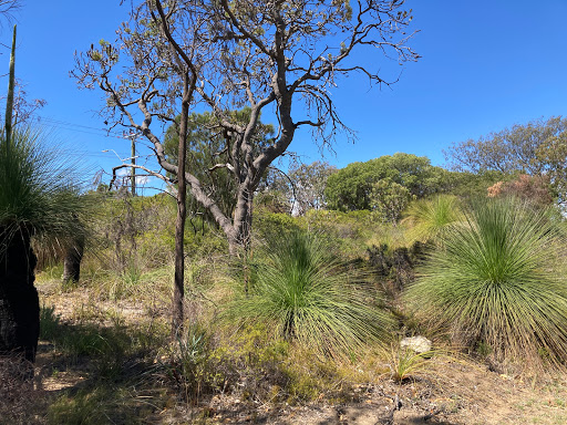 Friends of Duncraig Library Bushland - Thumbnail