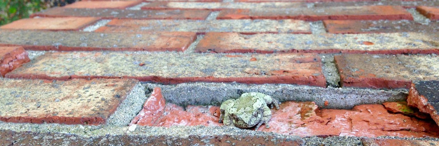 All Seasons Chimney Service chimney services work photo 6 - Professional chimney cleaning and repair in Cincinnati, Oregon