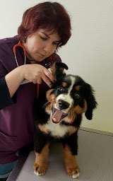 Photo n°19 de Clinique Vétérinaire Atlantic Vet à Niort (Clinique vétérinaire)