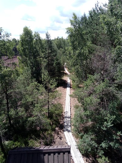 Photos of Cenas tīreļa laipu taka