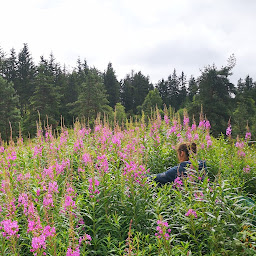 Photo n°1 de La Coccinelle à Tours-sur-Meymont (Agriculteur)