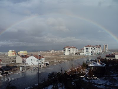 Larende Anadolu Lisesi