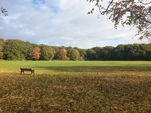 Kings Langley Cricket Club (The Common) Logo
