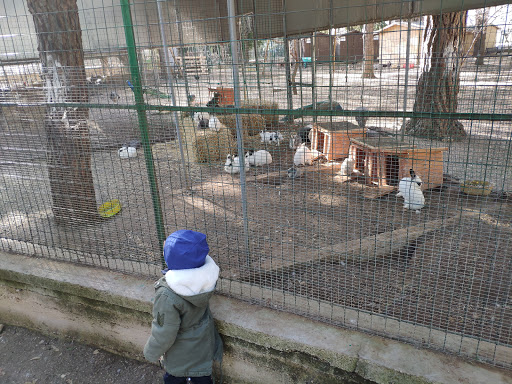 Parco "Aldo Moro" Noicattaro - Italy