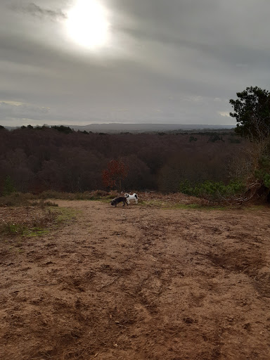 Hookley Lane - Visual