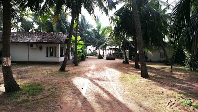 Photos of Romantic Beach Hotel
