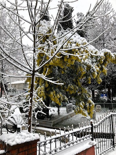 Söğütlü Aile Mezarlığı