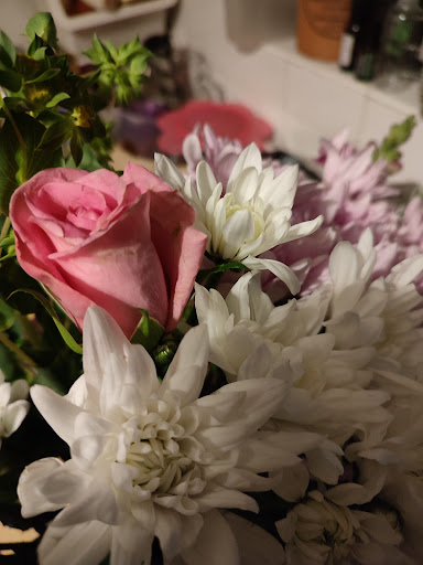 Sarah's Flower Patch - Visual