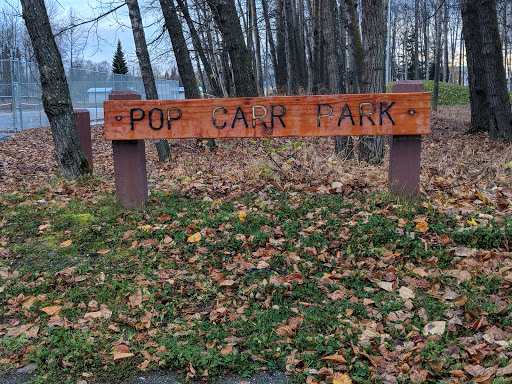 Pop Carr Memorial Park Gallery - United States