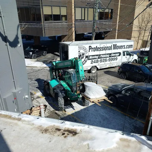 Professional Movers.com - Visual