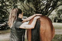 Valentine Dano - Cabinet d'Ostéopathie Animale à Royan