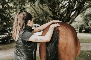 Photo n°1 de Valentine Dano - Cabinet d'Ostéopathie Animale à Royan (Ostéopathe)